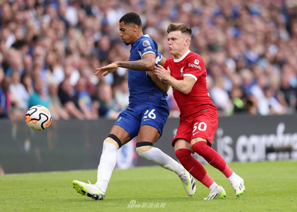 经验支撑 经验支撑